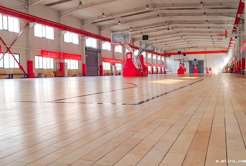 天津市翔宇力仁学校体育馆