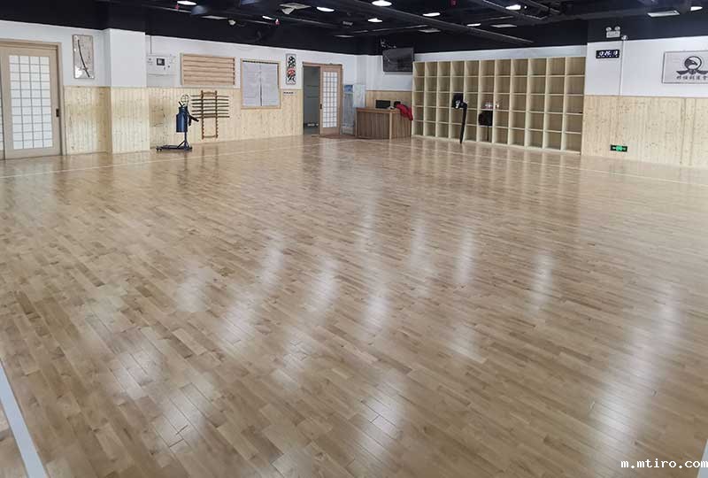 天津修恒剑道运动馆案例